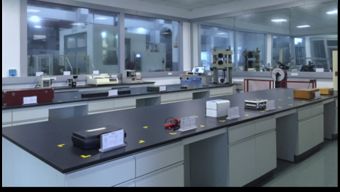 保一集團(tuán)檢測(cè)中心順利通過(guò)CNAS現(xiàn)場(chǎng)評(píng)審，助力飼料添加劑生產(chǎn)質(zhì)量提升