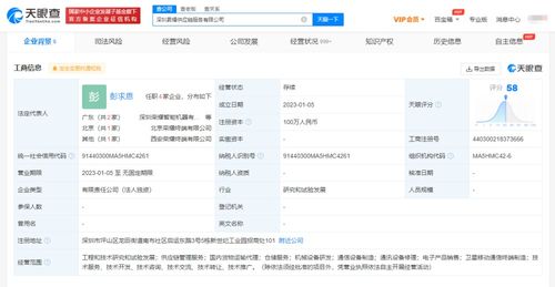 探索新時(shí)代下的衛(wèi)星移動(dòng)通信終端 技術(shù)與應(yīng)用